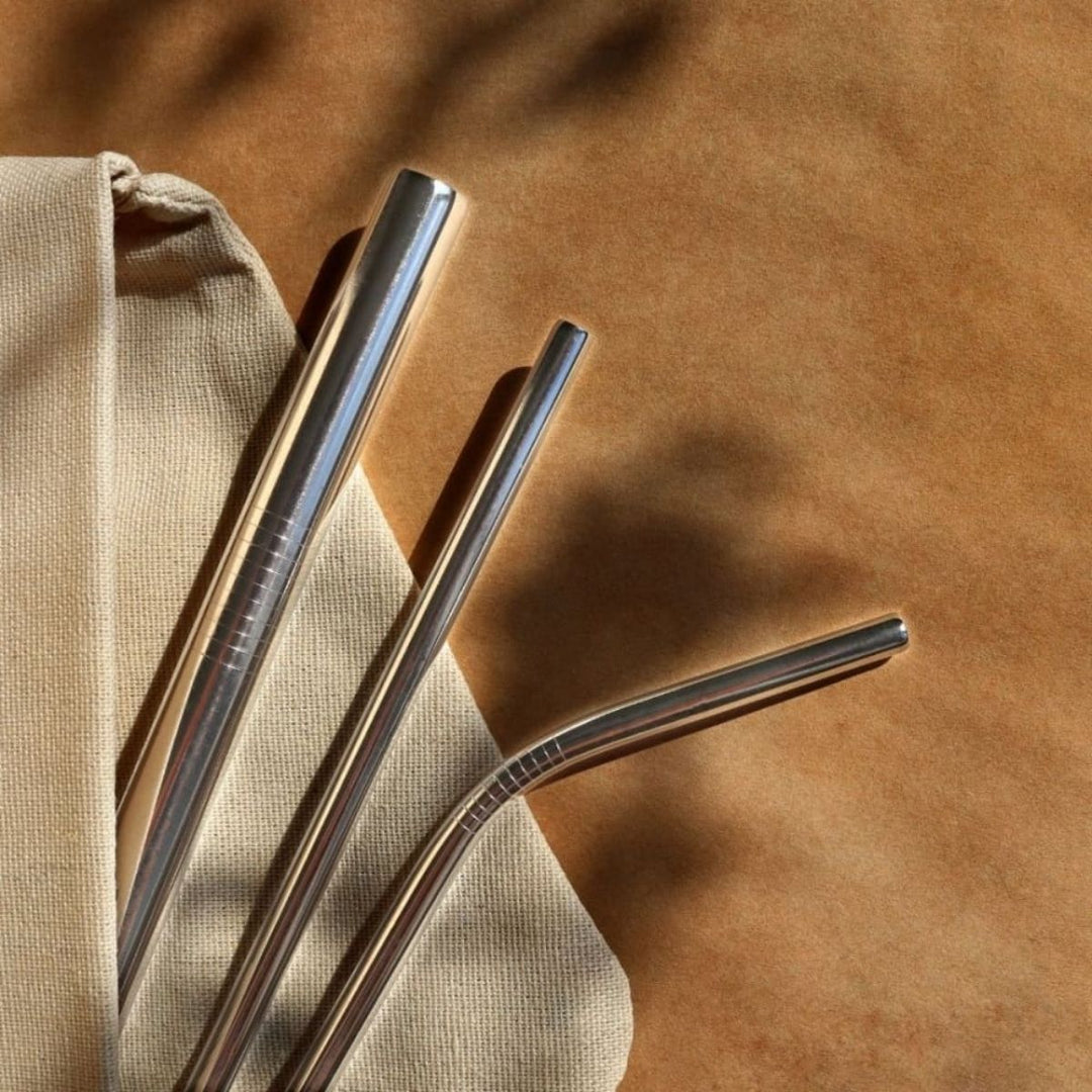 Stainless Steel Straws With Sisal Fibre cleaner | Pack Of 2