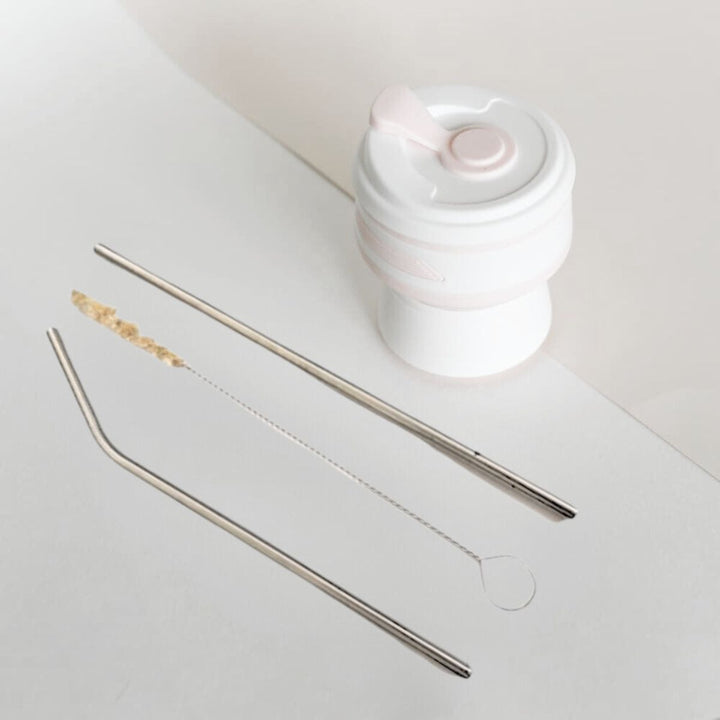 Stainless Steel Straws With Sisal Fibre cleaner | Pack Of 2