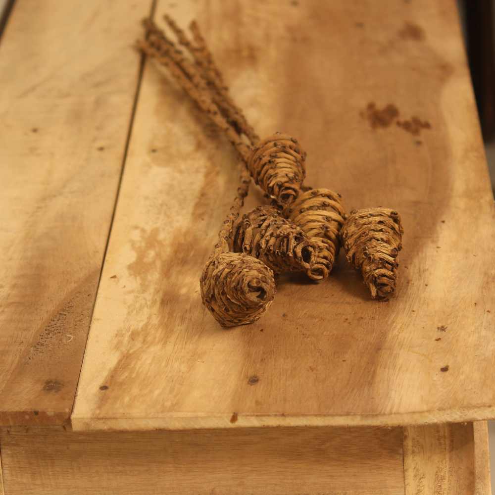 21" Long Dried Tail Cone | Rustic Decor For Indoor and Outdoor Parties | Set of 5