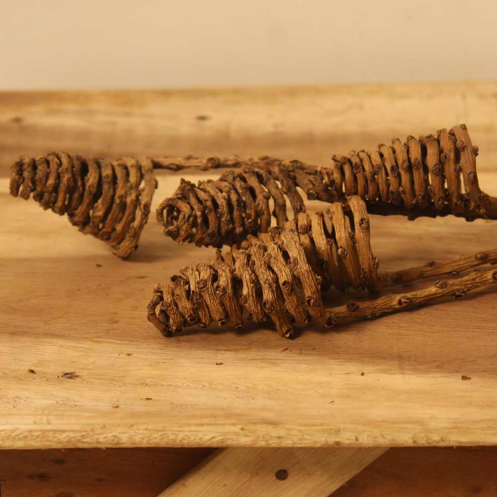 21" Long Dried Tail Cone | Rustic Decor For Indoor and Outdoor Parties | Set of 5
