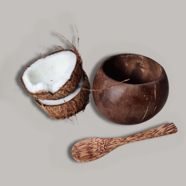 Small Coconut Shell Bowl With Spoon | Pack Of 2