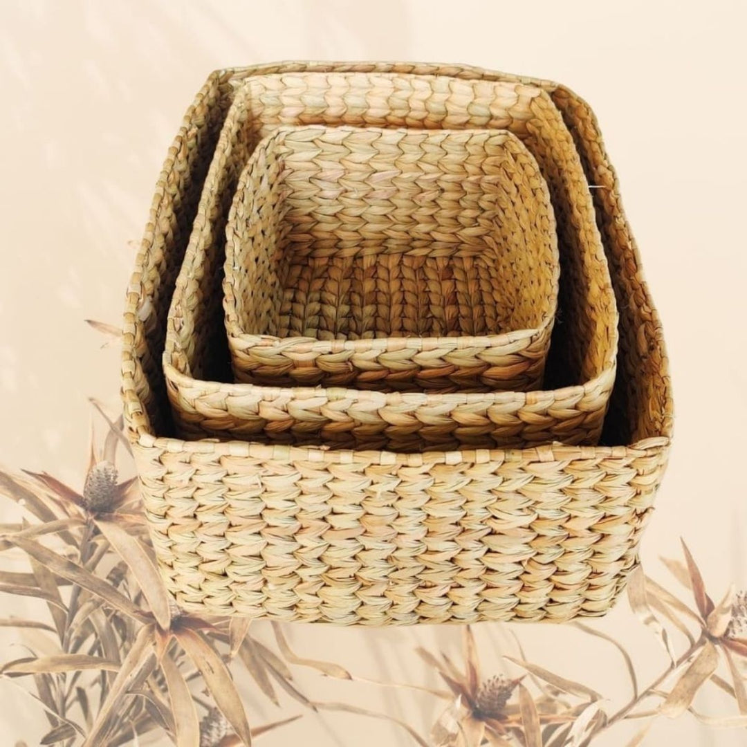 Water Reed / Kauna Grass Storage Baskets | Hand-Crafted | Set Of 3