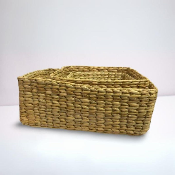 Water Reed / Kauna Grass Storage Baskets | Hand-Crafted | Set Of 3