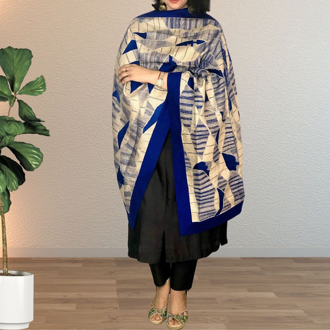 Aashvee Desi Tussar Blue Stole | Sujani Work | Fully Embroidered | Elegant | Graceful | Festive