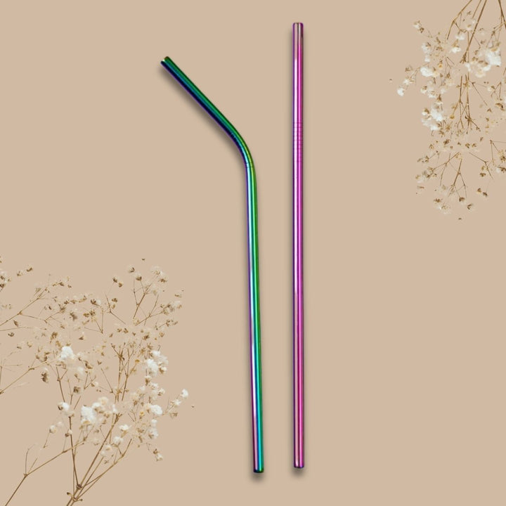 Rainbow Colour Stainless Steel Straws With Sisal Fibre cleaner | Pack Of 2