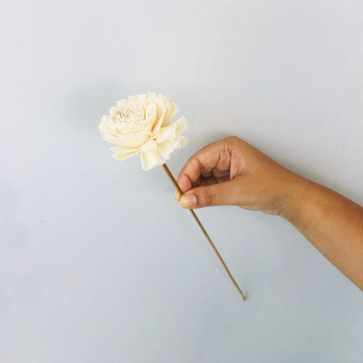 Carnation Sola Flower | Home Decor | Gifting | Table Decor