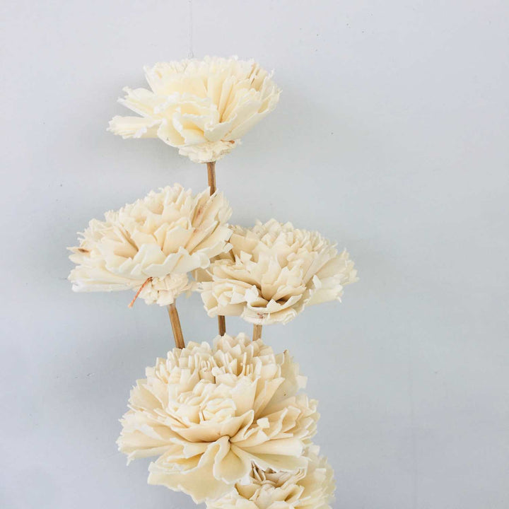 Carnation Sola Flower | Home Decor | Gifting | Table Decor