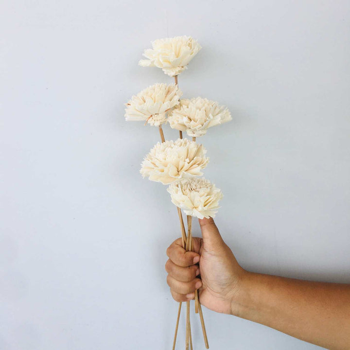 Carnation Sola Flower | Home Decor | Gifting | Table Decor