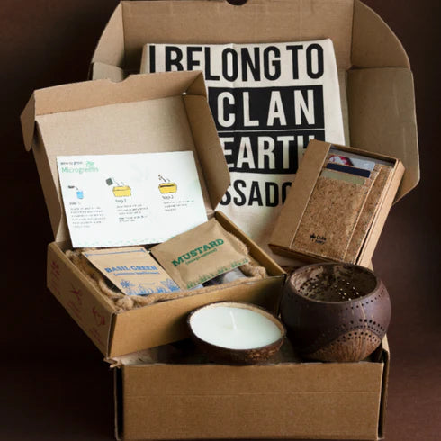 Lifestyle Gift Set with Microgreen Box | Home Garden Kit | DIY Kit