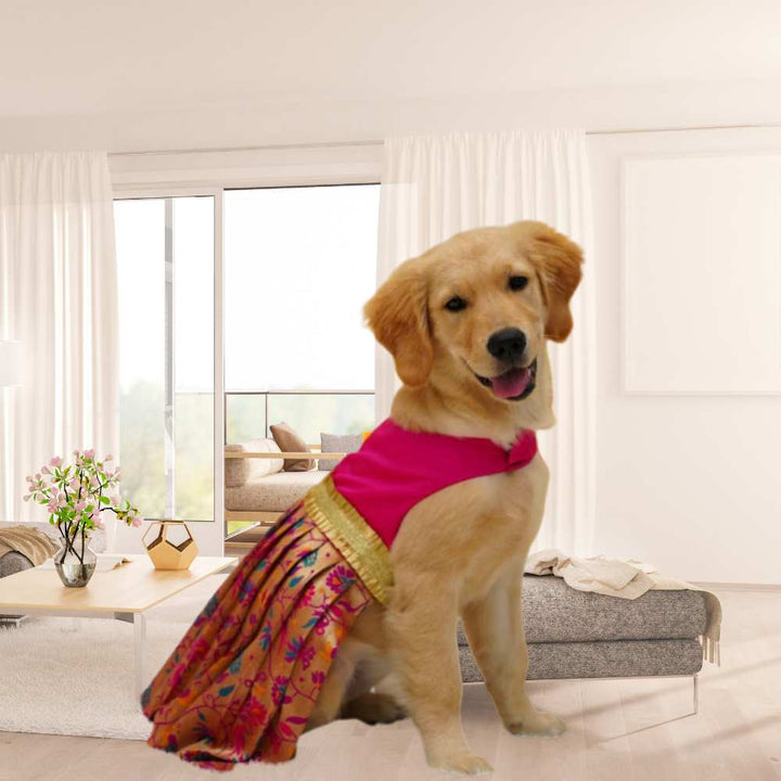 Silk Paithani Lehenga For Your Pet | For Her | Pink | Hand-Made | S-M-L-XL