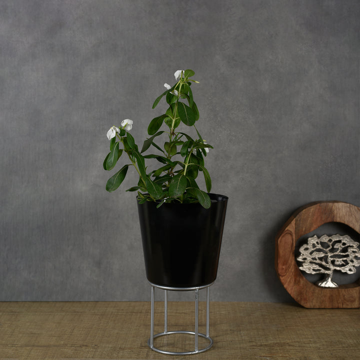 Black Planter With Metal Riser | Modern Planters for Indoor Plants | Hand-Crafted | 9.6 Inch