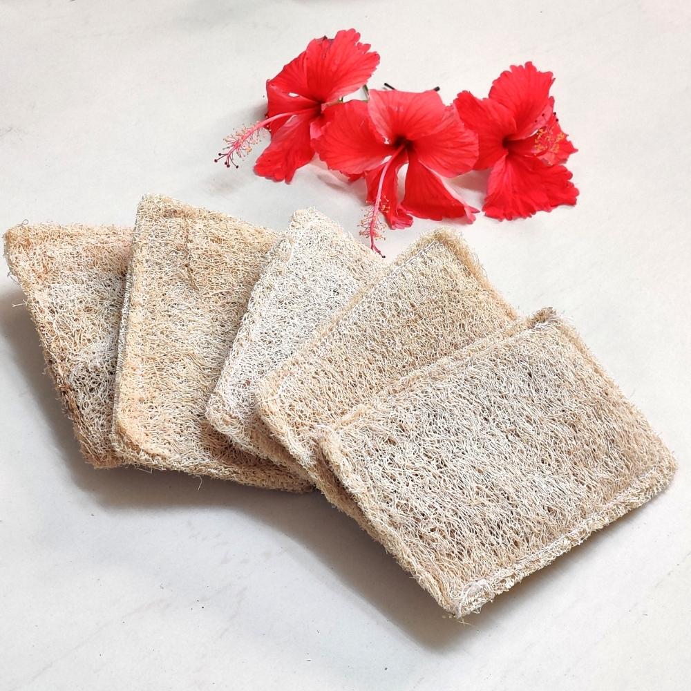 Natural Loofah Dish Scrub Pads | Sustainable |  Eco Friendly | Pack Of 5