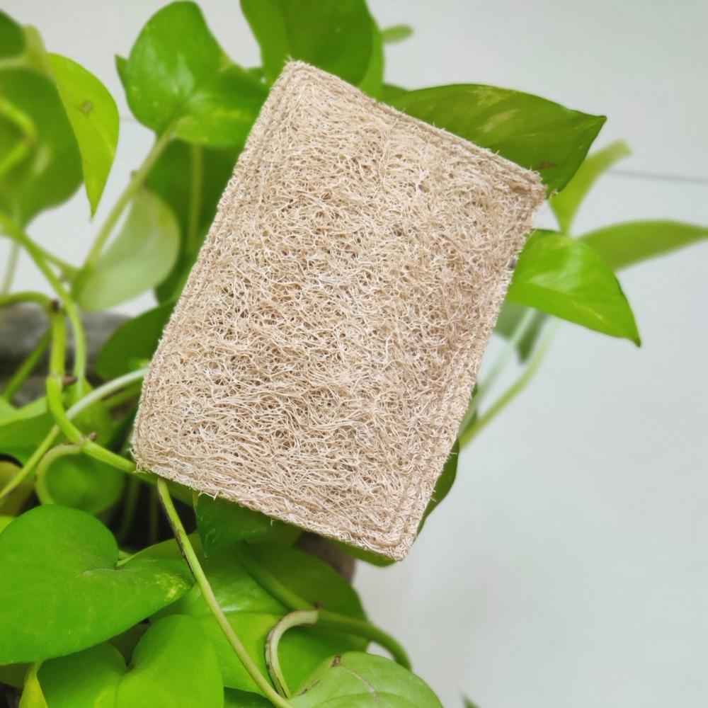 Natural Loofah Dish Scrub Pads | Sustainable |  Eco Friendly | Pack Of 5