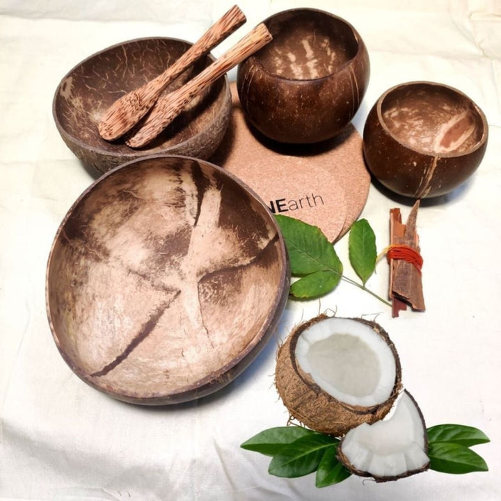 Hand-Crafted Coconut Shell Bowl Set | | Assorted Pack Of 4