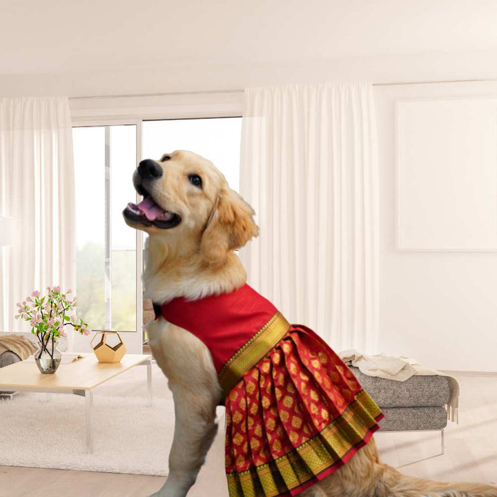 Red Banarasi Lehenga For Your Pet | For Her | Hand-Made | S-M-L-XL