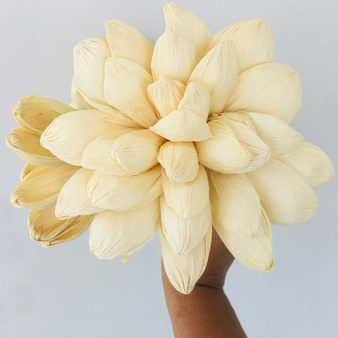 Dried Corn Husk Flower, Dried Flower, Home Decoration, Gifting