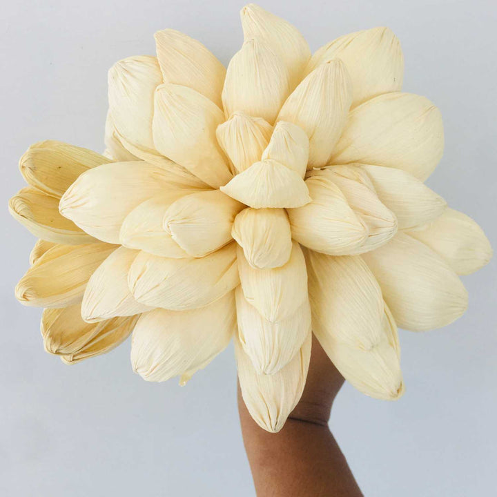 Dried Corn Husk Flower, Dried Flower, Home Decoration, Gifting