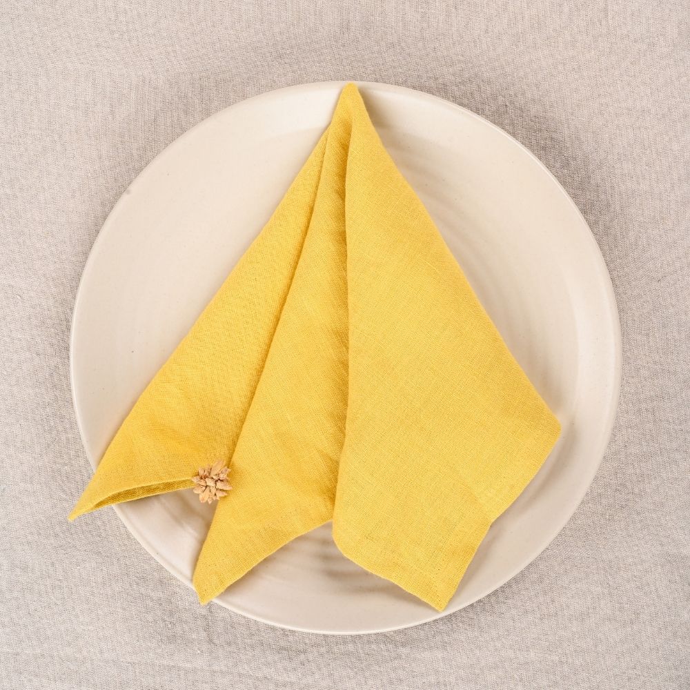 Linen Napkin Set of Two | Great Dining with Captivating Colour and Delicate Fabric