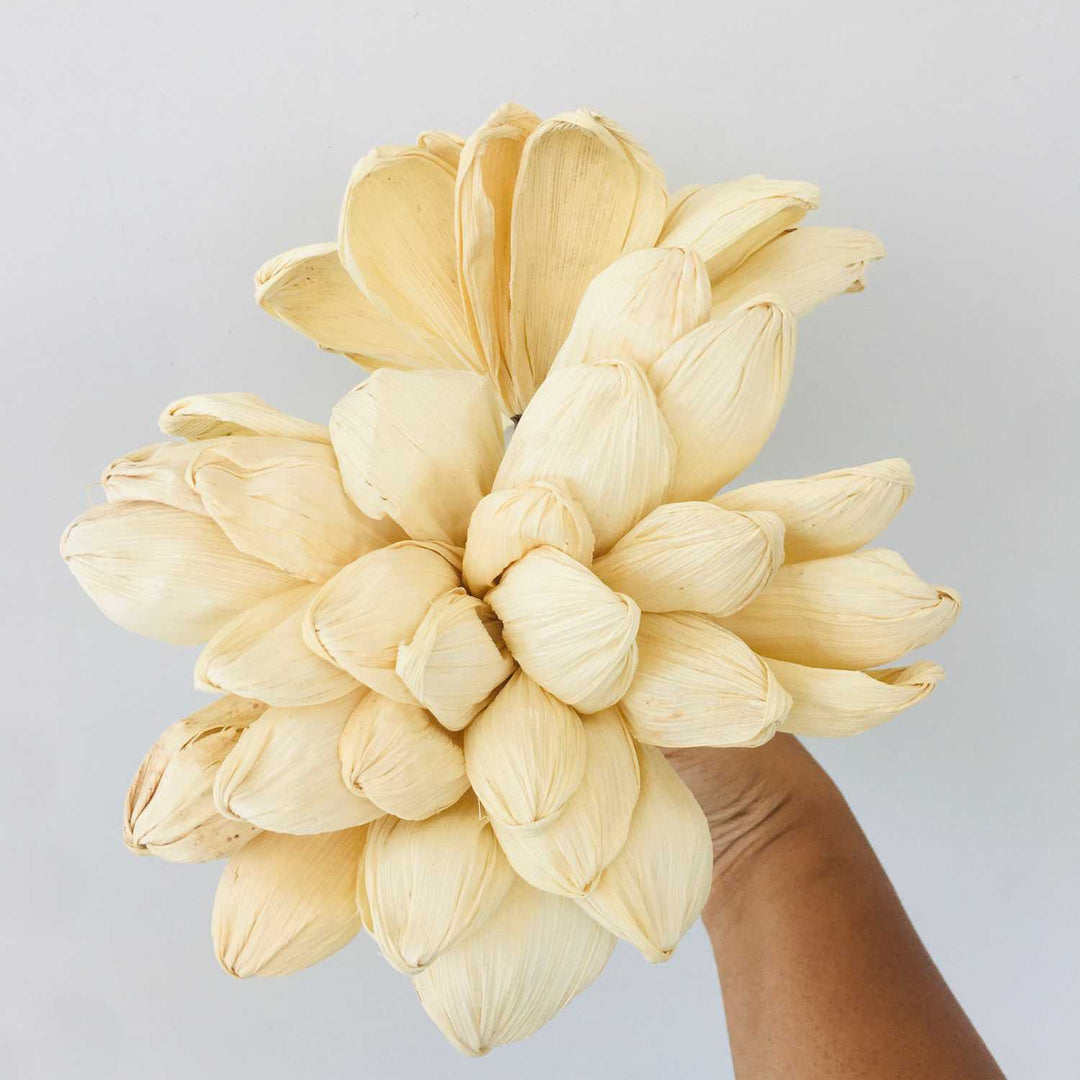 Dried Corn Husk Flower, Dried Flower, Home Decoration, Gifting