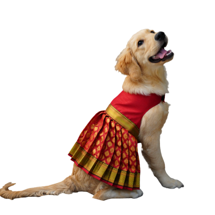 Red Banarasi Lehenga For Your Pet | For Her | Hand-Made | S-M-L-XL