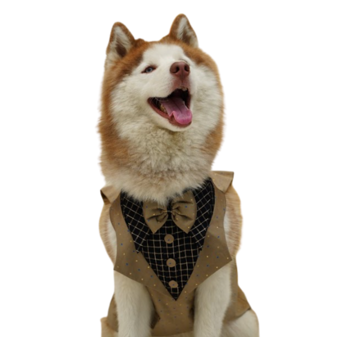 Dog Tuxedo | Hand-Woven Cotton | Khaki & Black | Hand-Made | S-M-L-XL