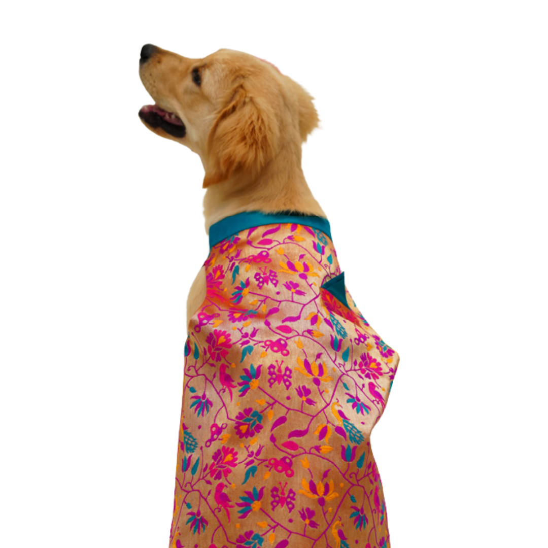 Silk Paithani Sherwani For Your Pet |  For Him | Pink | Hand-Made | S-M-L-XL