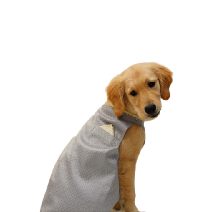 Silver Banarasi Sherwani For Your Pet |  For Him | Hand-Made | S-M-L-XL