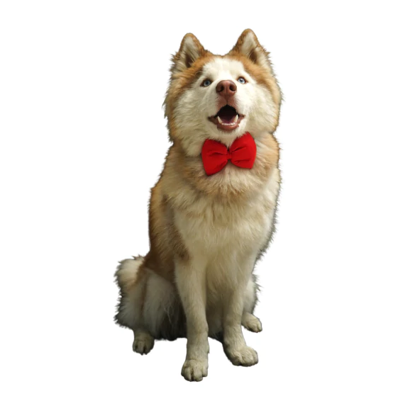 Dog's Red Bow | Hand-Woven Cotton | Red | Hand-Made | S-M