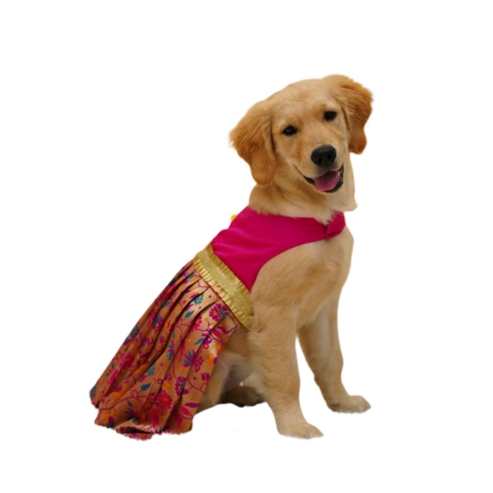 Silk Paithani Lehenga For Your Pet | For Her | Pink | Hand-Made | S-M-L-XL