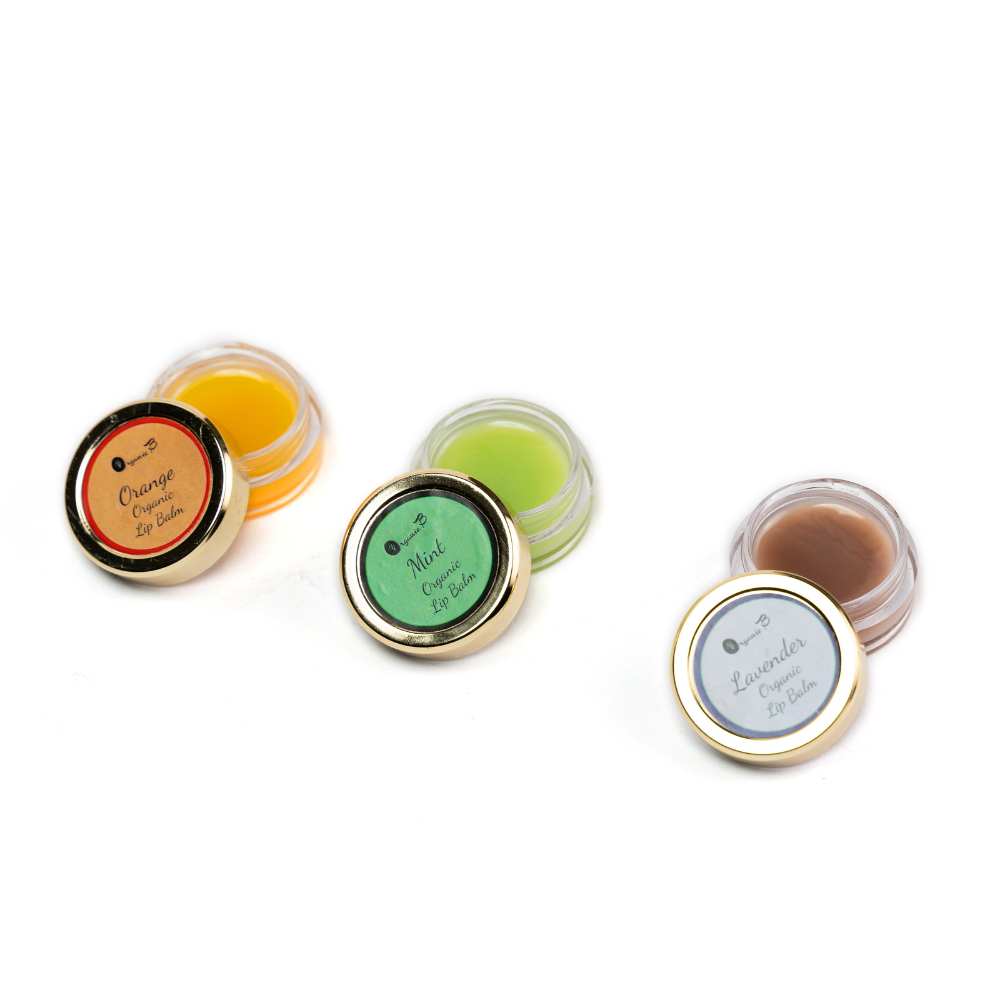 Vegan Lip Balm | Pack of Orange, Mint and Lavender Flavour | 8 GM Each