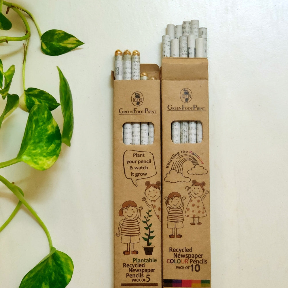 Recycled News Paper Colouring Pencils (Set Of 10 ) & Plantable Seed pencils (Set Of 5) Combo 