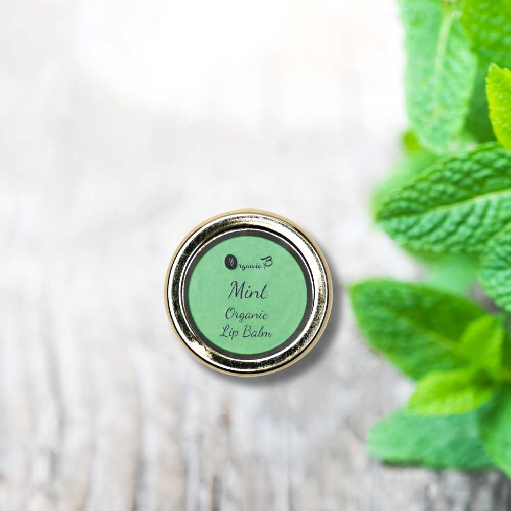 Mint Lip Balm | Hydrating | Sun Protection | For Pigmented Lips | 8 GM