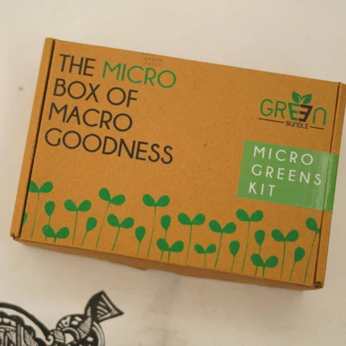 Lifestyle Gift Set with Microgreen Box | Home Garden Kit | DIY Kit