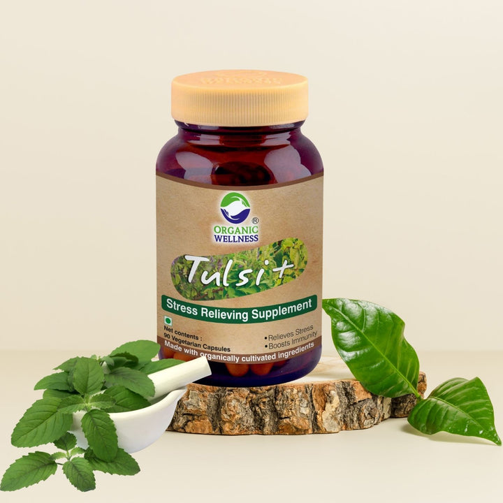 Tulsi+ Supplements | Organic | 100 % Vegan | Stress Resilience | Respiratory Health | 90 Capsules