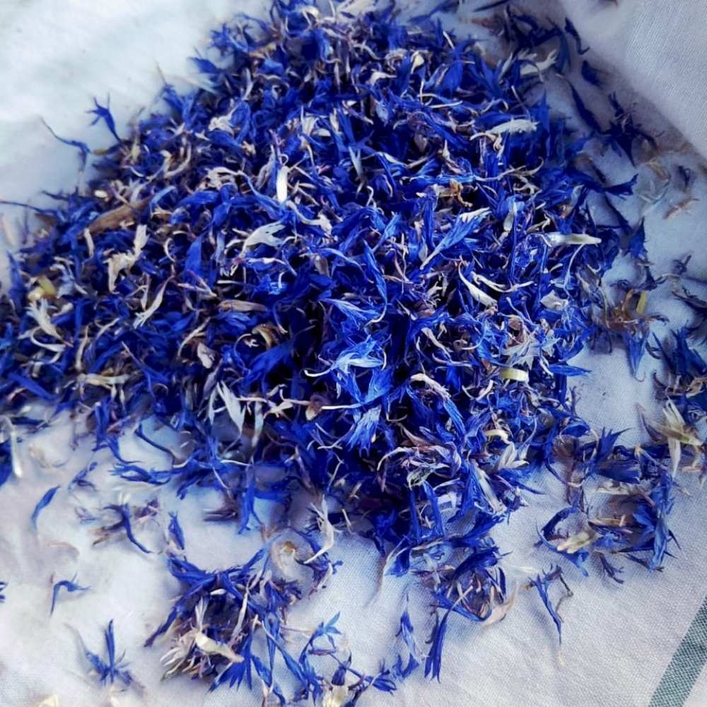 Organic Blue Cornflower | Shadow-Dried | Eye Puffiness | Sensitive Skin | 50 GM