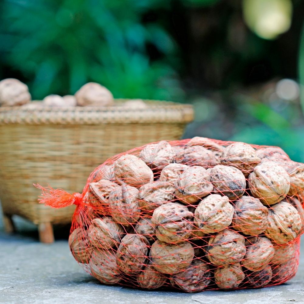 De-shelled Himalayan Walnuts | Superfood | Good for Brain Health | 250 GM