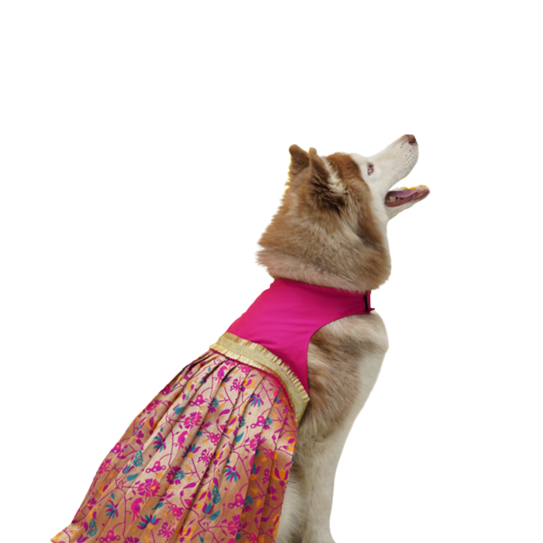 Silk Paithani Lehenga For Your Pet | For Her | Pink | Hand-Made | S-M-L-XL