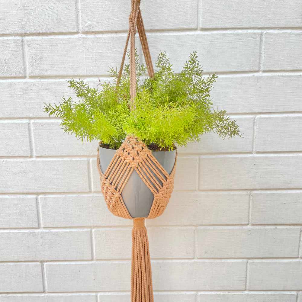 Bohemian Style Hand-Crafted Hanging Planter | Macrame | Hand-Made | Assorted Colours | 36 inch