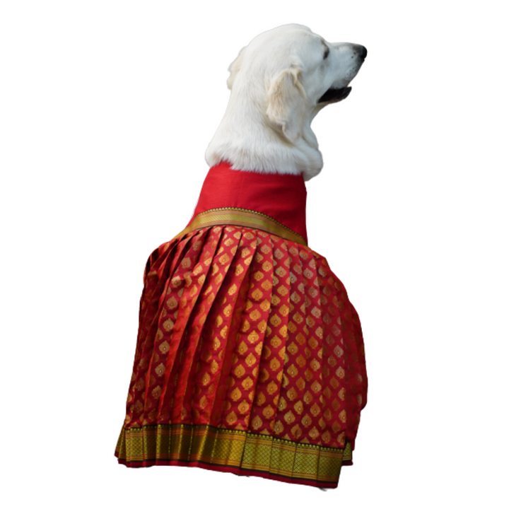 Red Banarasi Lehenga For Your Pet | For Her | Hand-Made | S-M-L-XL