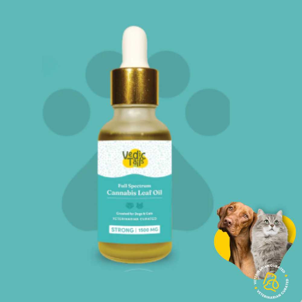 Dog & Cat Pain Relief Oil | Eases Inflammation | Aides Digestion | Strong | 30 ML