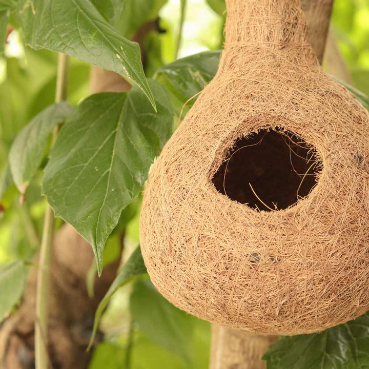 Bird Nest | Bird Feeder | Garden | Natural Coir-Made | 14 Inch