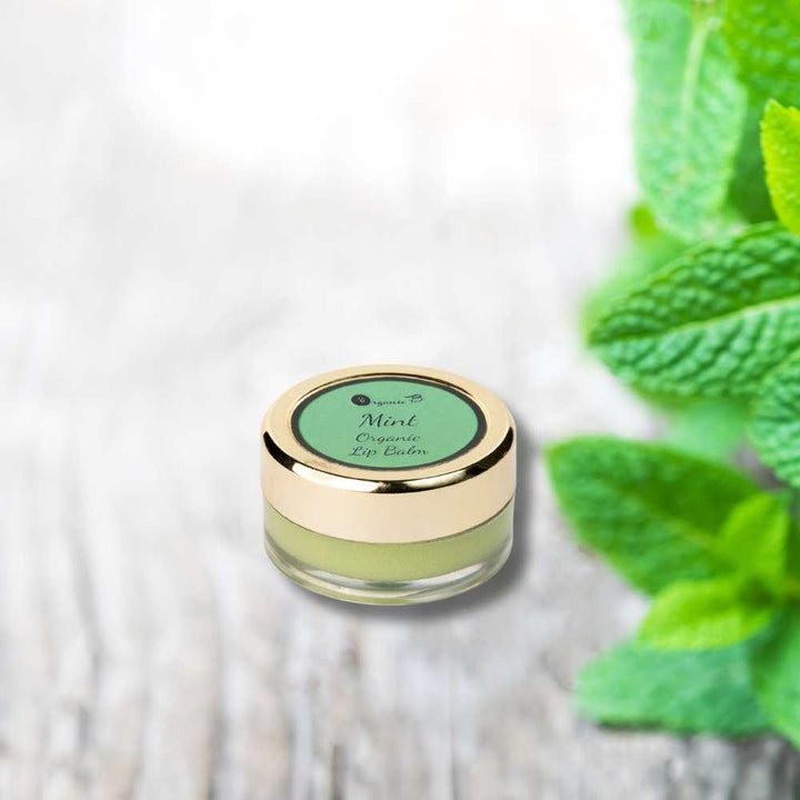 Mint Lip Balm | Hydrating | Sun Protection | For Pigmented Lips | 8 GM