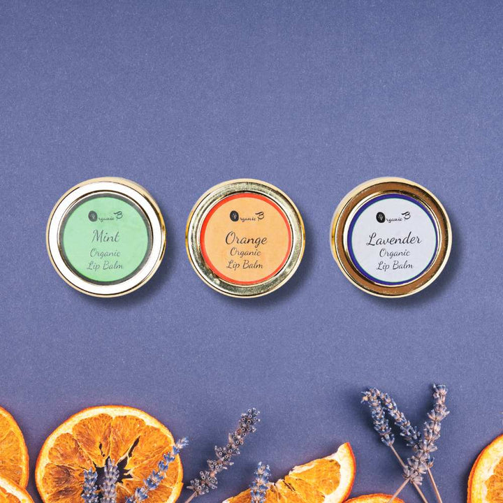 Vegan Lip Balm | Pack of Orange, Mint and Lavender Flavour | 8 GM Each