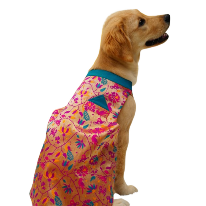 Silk Paithani Sherwani For Your Pet |  For Him | Pink | Hand-Made | S-M-L-XL