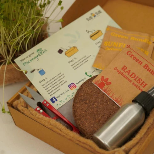 Lifestyle Gift Set with Microgreen Box | Home Garden Kit | DIY Kit