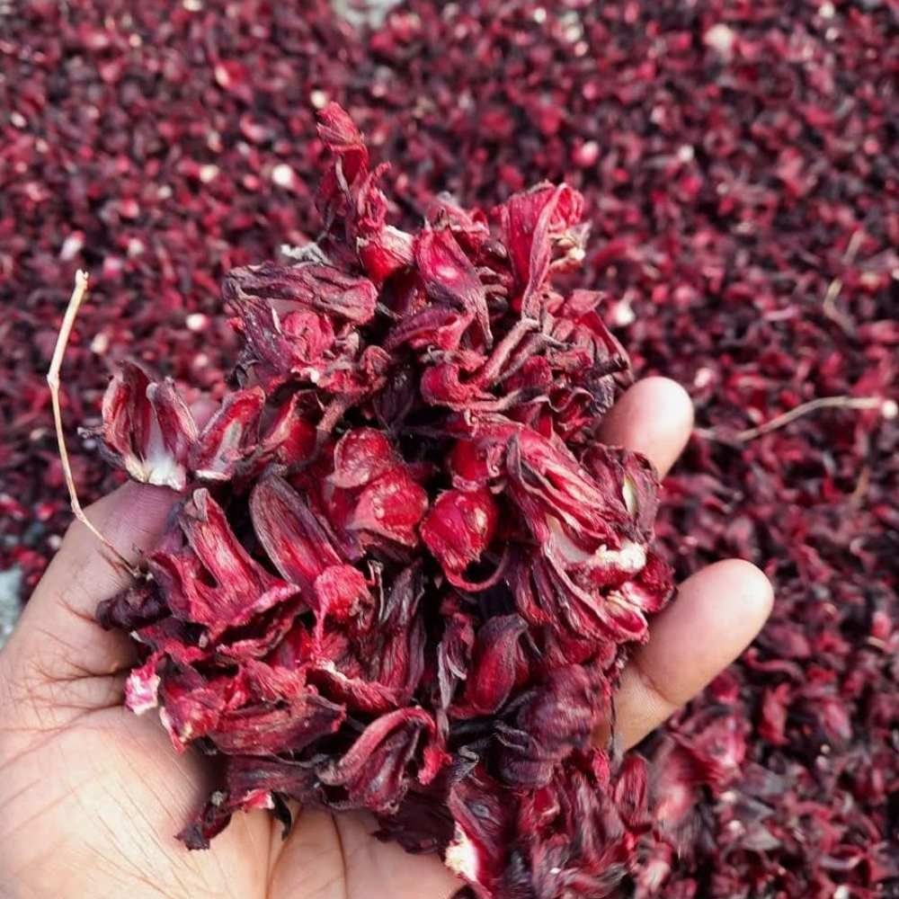 Organic Hibiscus Petal | Shadow-Dried | Skin & Hair Care | Natural | 50 GM