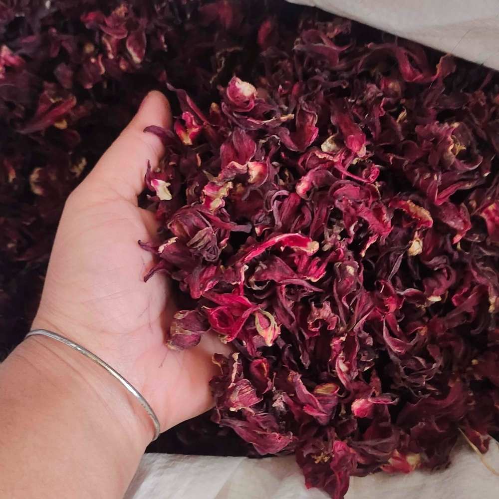 Organic Hibiscus Petal | Shadow-Dried | Skin & Hair Care | Natural | 50 GM