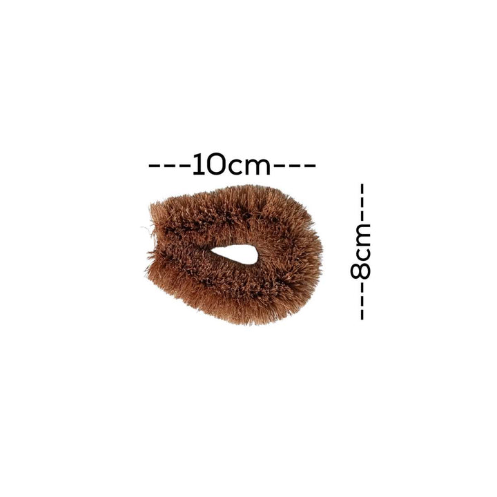 Vegetable Cleaning Brush | Sustainable | Coconut Coir | Set of 2