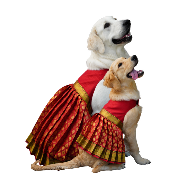 Red Banarasi Lehenga For Your Pet | For Her | Hand-Made | S-M-L-XL