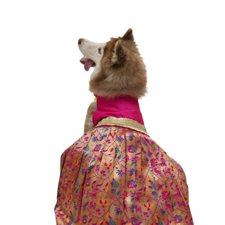 Silk Paithani Lehenga For Your Pet | For Her | Pink | Hand-Made | S-M-L-XL